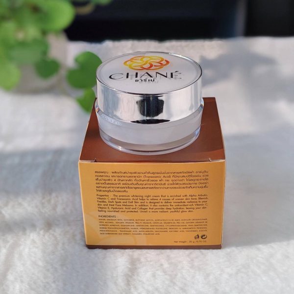Chane Arbutin Whitening and Anti Melasma Night Cream 20g